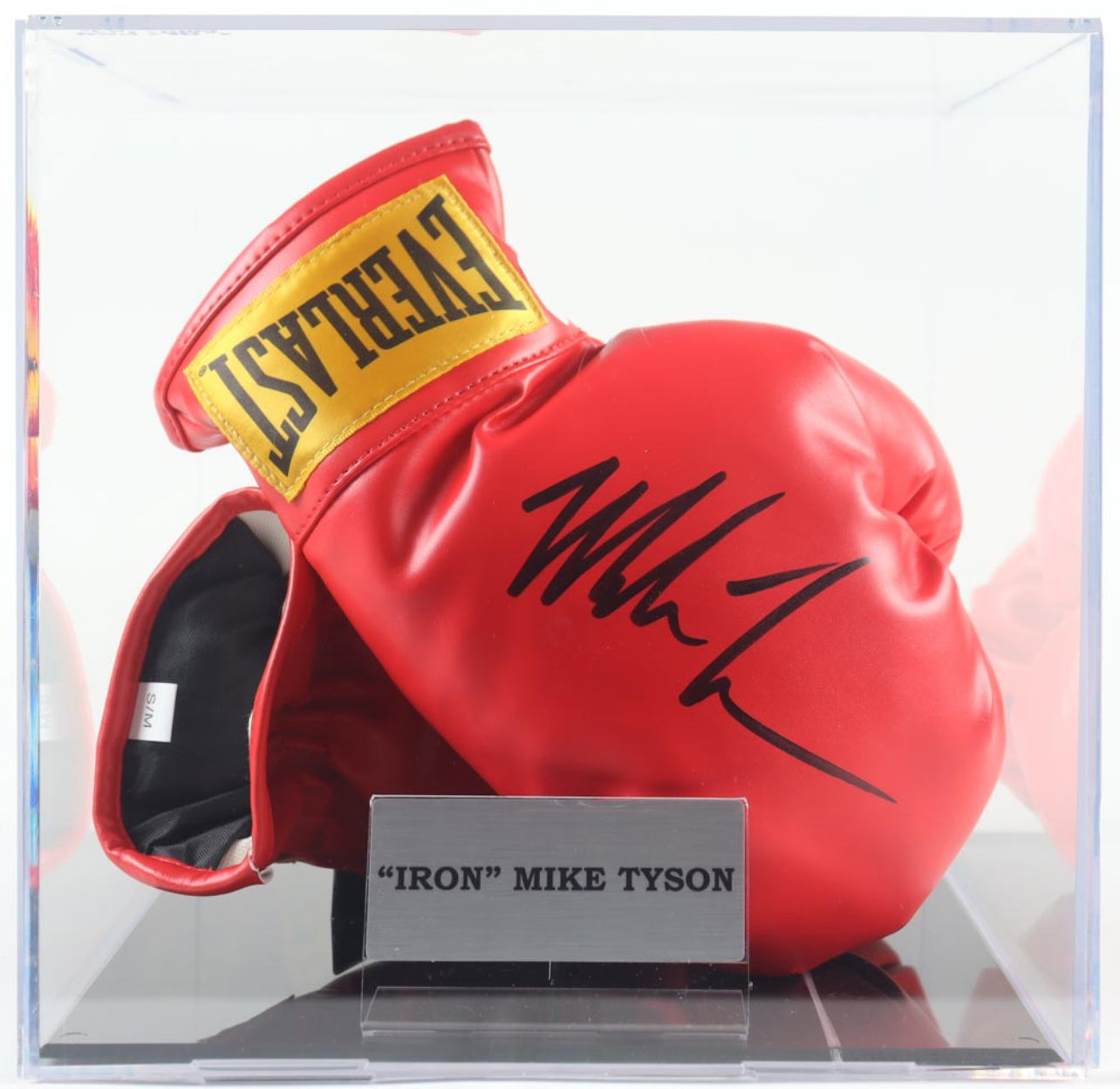 Mike Tyson Signed Everlast Boxing Glove Set and Display Case (JSA & Tyson)